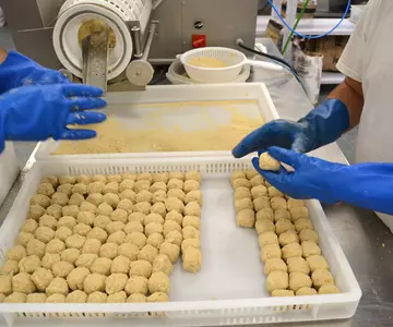 How to distribute croquettes in my country
